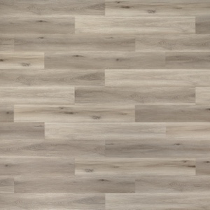 Product image for Fossil vinyl flooring plank (SKU: 2102) in the Studio Gluedown Floor product line from Urban Surfaces
